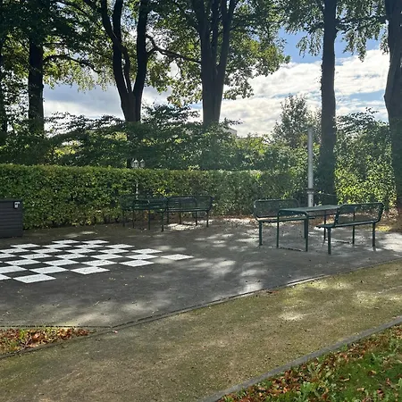 Hasenfeldlodge - Waldstille *